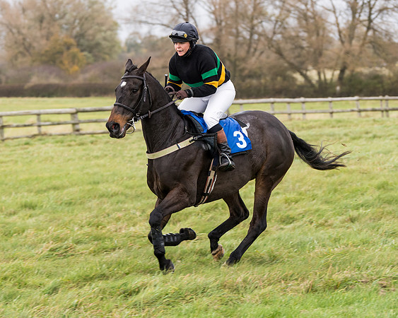Race 6 - PPORA Novice Riders (107 of 290)