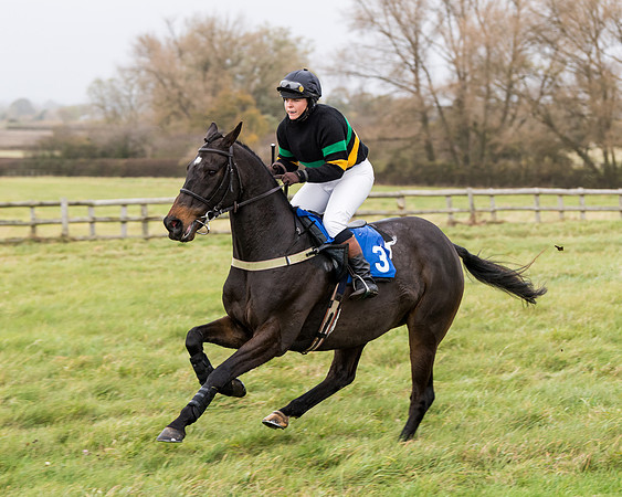 Race 6 - PPORA Novice Riders (108 of 290)