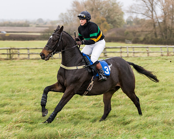 Race 6 - PPORA Novice Riders (109 of 290)