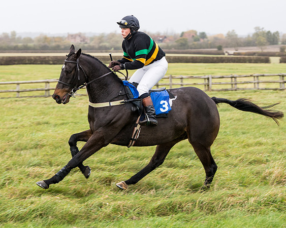 Race 6 - PPORA Novice Riders (111 of 290)