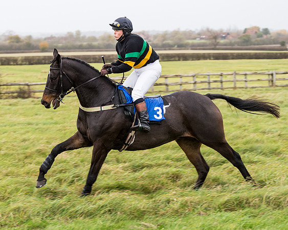 Race 6 - PPORA Novice Riders (112 of 290)