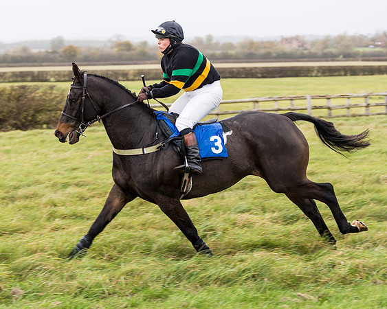 Race 6 - PPORA Novice Riders (113 of 290)