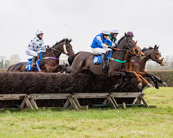 Race 6 - PPORA Novice Riders (125 of 290)