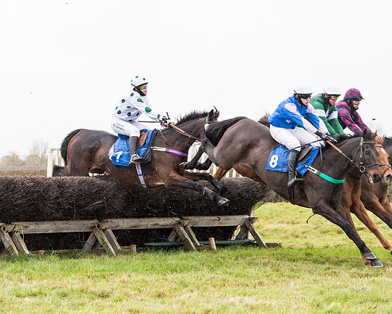 Race 6 - PPORA Novice Riders (127 of 290)