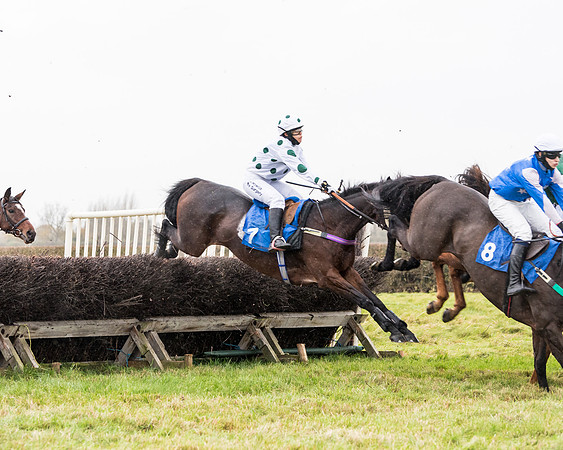 Race 6 - PPORA Novice Riders (128 of 290)