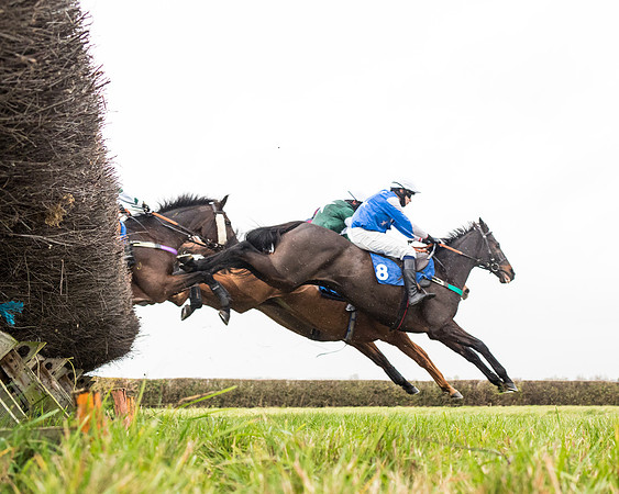 Race 6 - PPORA Novice Riders (129 of 290)