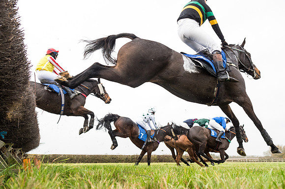 Race 6 - PPORA Novice Riders (134 of 290)