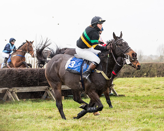 Race 6 - PPORA Novice Riders (135 of 290)