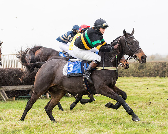 Race 6 - PPORA Novice Riders (136 of 290)