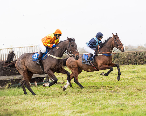 Race 6 - PPORA Novice Riders (144 of 290)