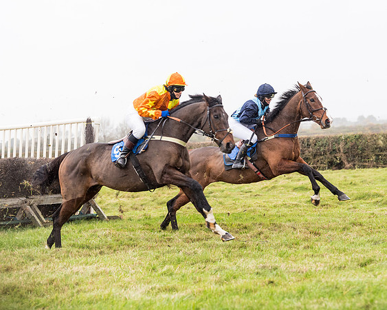 Race 6 - PPORA Novice Riders (146 of 290)