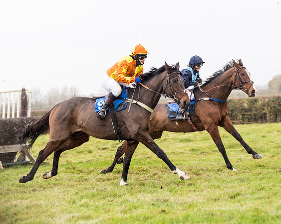 Race 6 - PPORA Novice Riders (147 of 290)