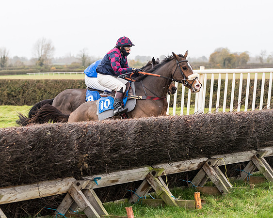 Race 6 - PPORA Novice Riders (154 of 290)
