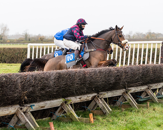Race 6 - PPORA Novice Riders (155 of 290)
