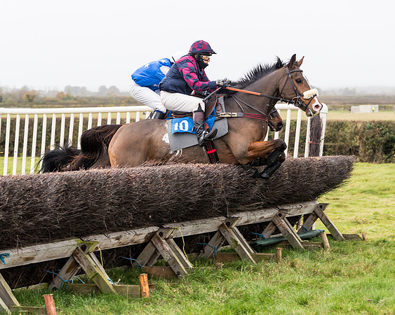 Race 6 - PPORA Novice Riders (156 of 290)