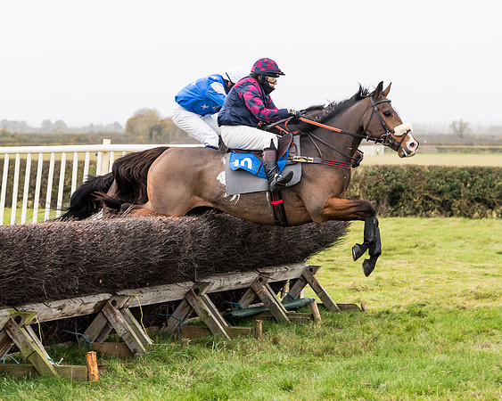 Race 6 - PPORA Novice Riders (157 of 290)