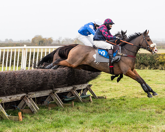 Race 6 - PPORA Novice Riders (158 of 290)