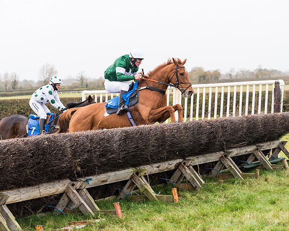 Race 6 - PPORA Novice Riders (161 of 290)