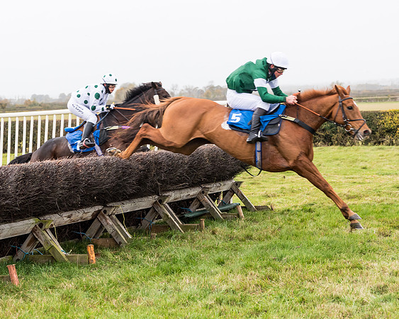 Race 6 - PPORA Novice Riders (165 of 290)