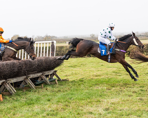 Race 6 - PPORA Novice Riders (169 of 290)