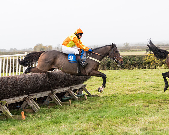 Race 6 - PPORA Novice Riders (171 of 290)