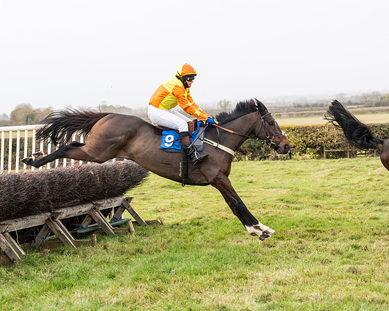 Race 6 - PPORA Novice Riders (172 of 290)