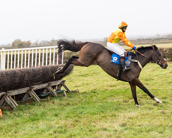 Race 6 - PPORA Novice Riders (173 of 290)