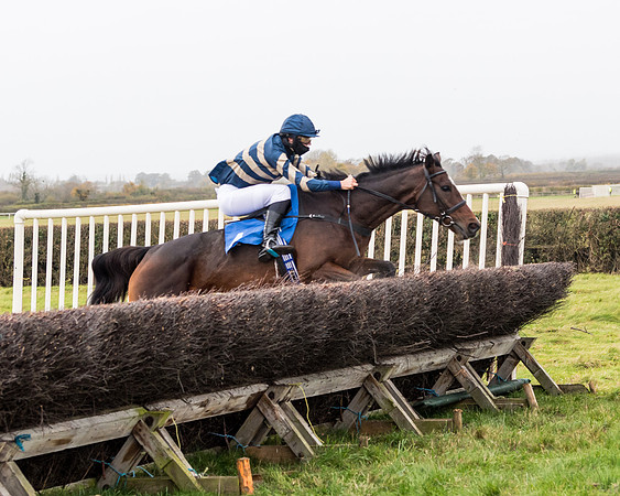 Race 6 - PPORA Novice Riders (175 of 290)