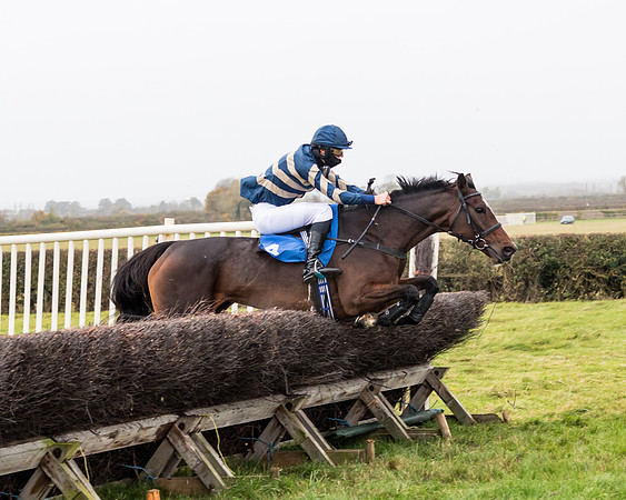 Race 6 - PPORA Novice Riders (176 of 290)