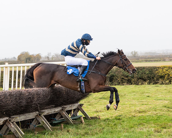 Race 6 - PPORA Novice Riders (177 of 290)