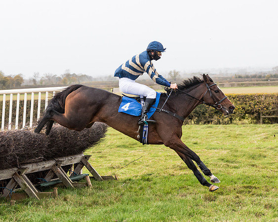 Race 6 - PPORA Novice Riders (178 of 290)
