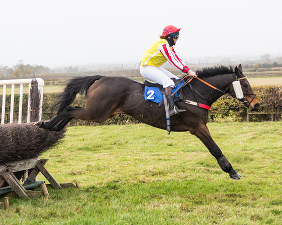 Race 6 - PPORA Novice Riders (184 of 290)
