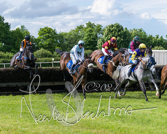 Race 5 - Restricted Race (203 of 434)