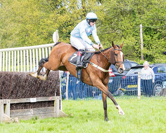 Race 2 - Veteran Horse (69 of 80)