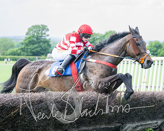Race 2 - Restricted  (253 of 308)