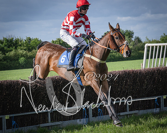 Race 6 - Thorn Plant Hire Maiden Race (58 of 129)