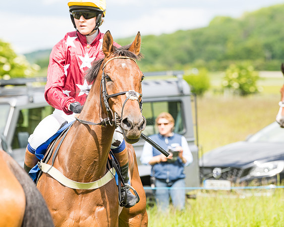 Race 2 - PPORA Novice Riders  (80 of 187)