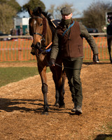 Race 1 - 4-5-6 Maiden (15 of 119).jpg