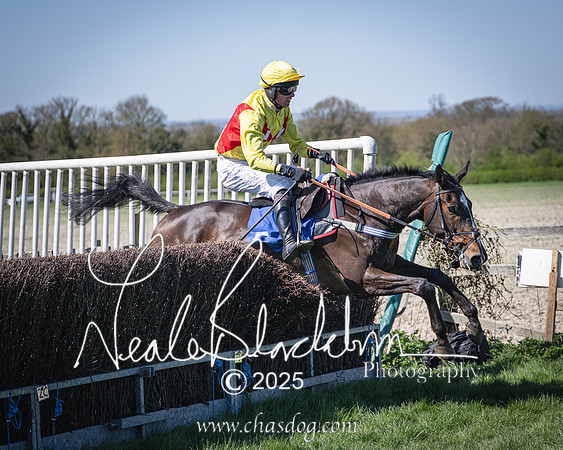 Race 2 - The Maiden (98 of 118)