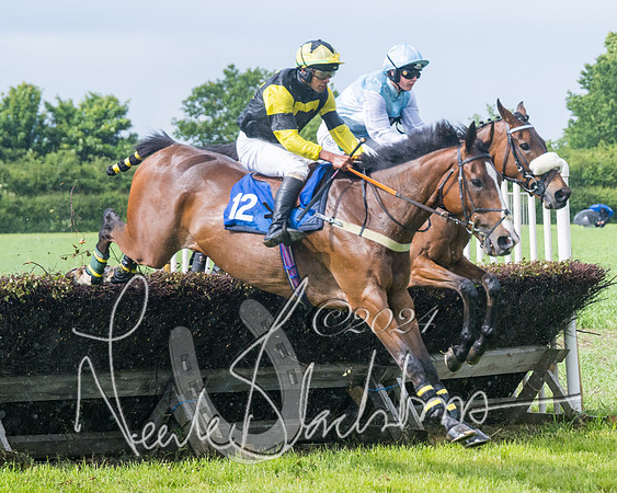 Race 4 - Mixed Open (142 of 591)