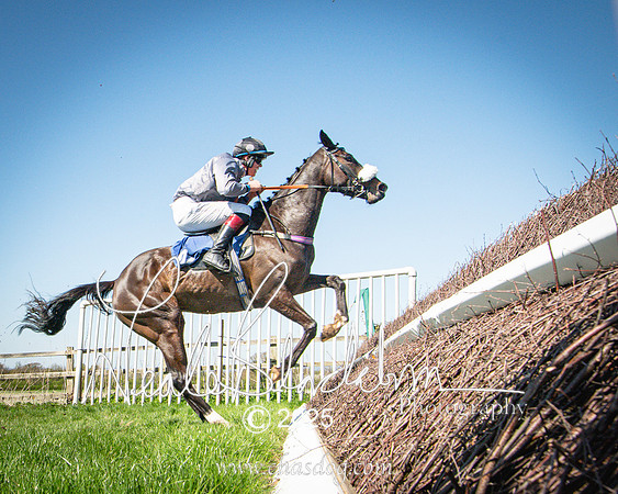 Race 2 - The Maiden (87 of 118)