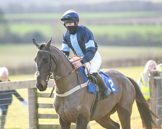 Race 2 - The Open Maiden (8 of 97)