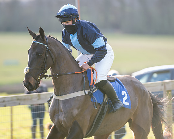 Race 2 - The Open Maiden (9 of 97)