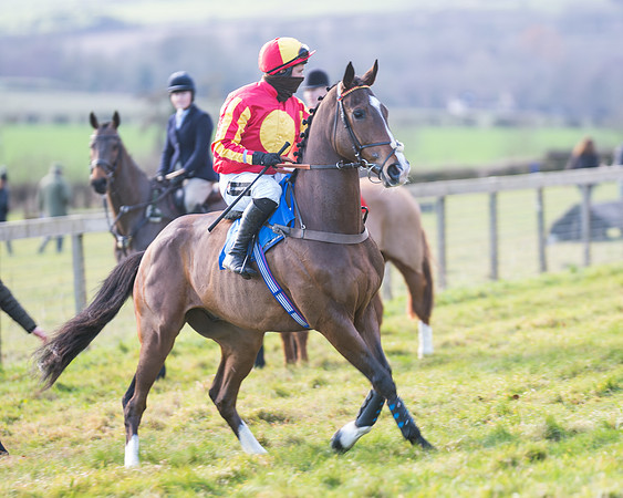 Race 2 - The Open Maiden (11 of 97)