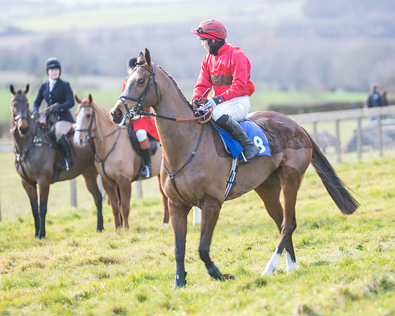 Race 2 - The Open Maiden (12 of 97)