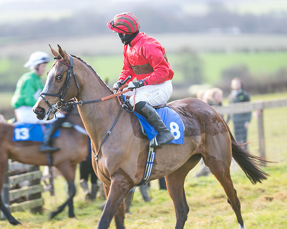 Race 2 - The Open Maiden (13 of 97)