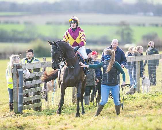 Race 2 - The Open Maiden (14 of 97)