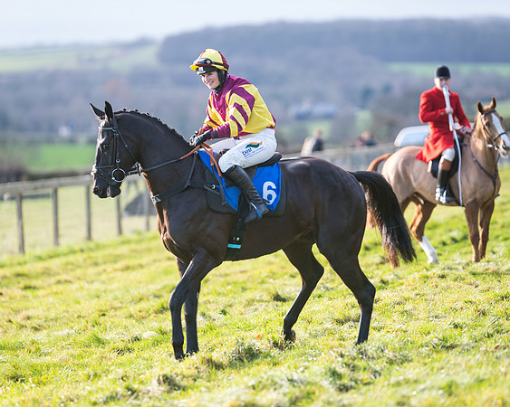 Race 2 - The Open Maiden (15 of 97)