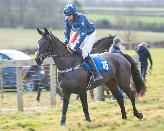 Race 2 - The Open Maiden (17 of 97)