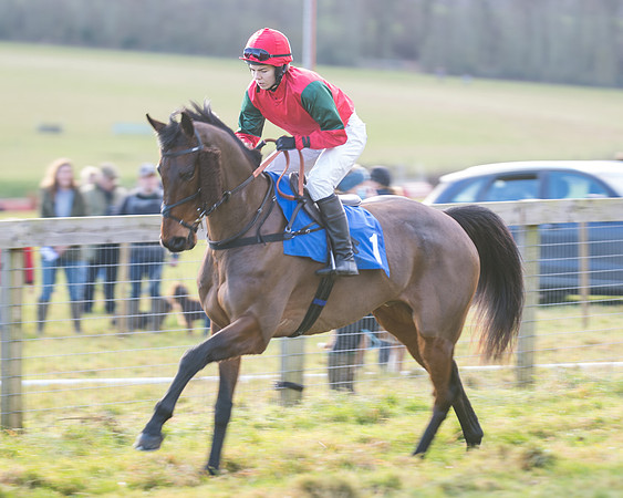 Race 2 - The Open Maiden (18 of 97)